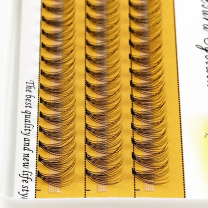 SKINDELUX 10D Luxe Eyelash Clusters - 60 Natural Bunches